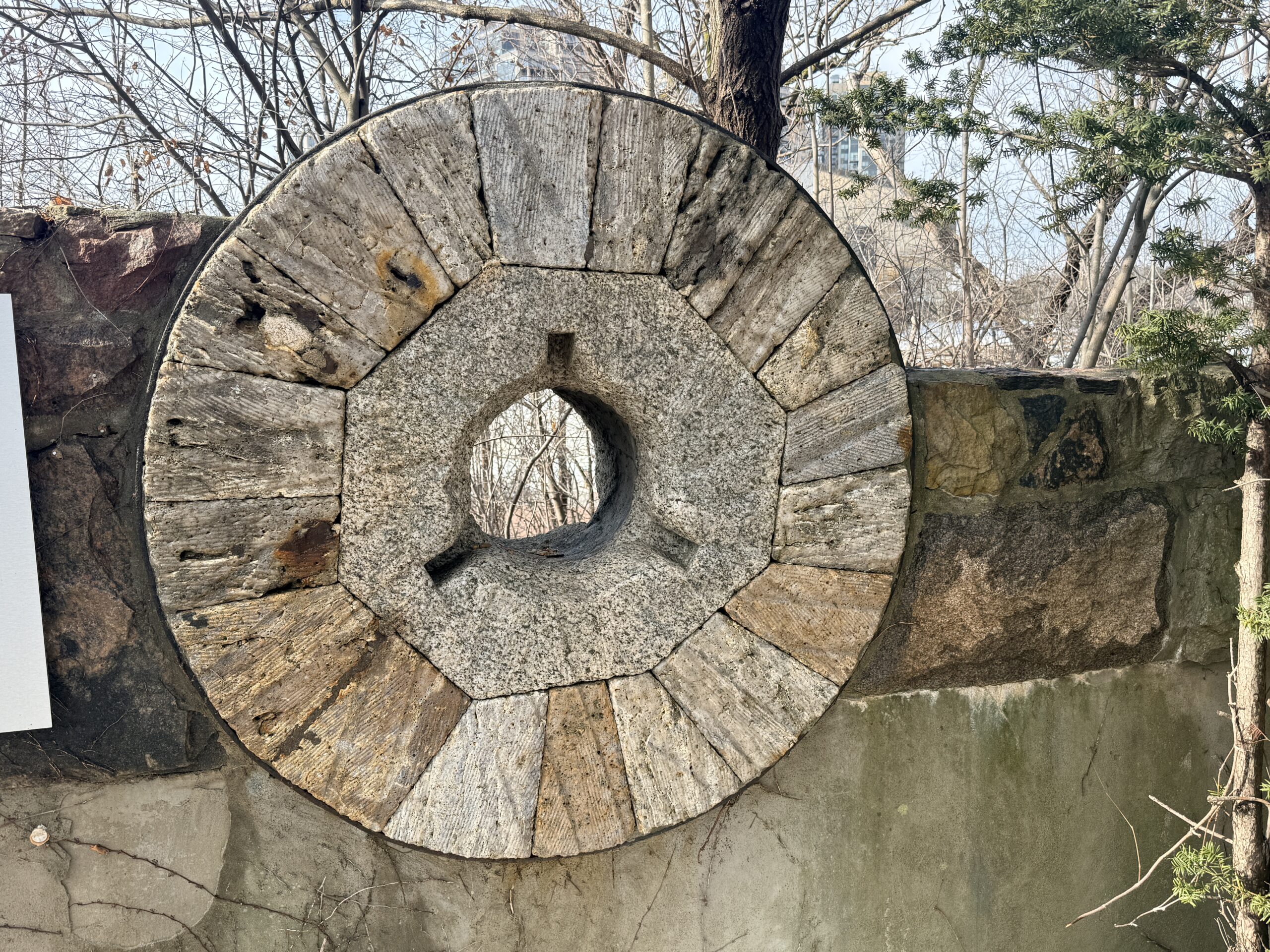 The Observer Effect Beyond Physics